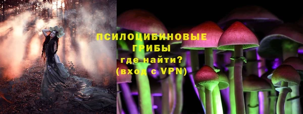 стаф Богданович