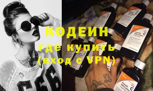 стаф Богданович