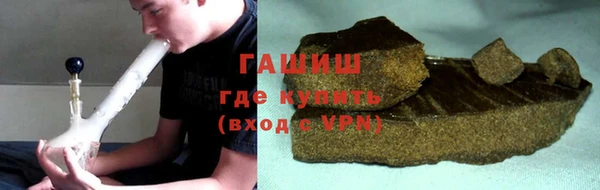 крисы Бородино