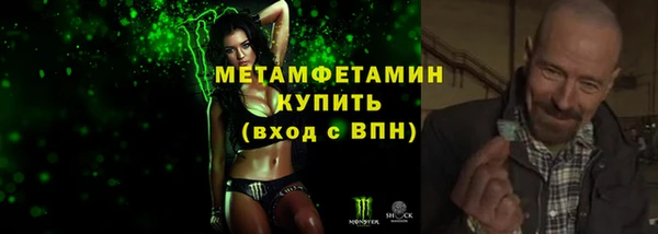 крисы Бородино