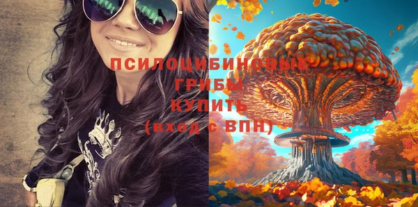 гашик Богородицк