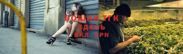гашик Богородицк