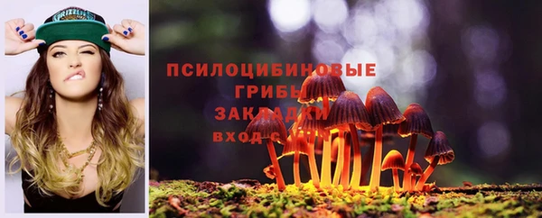 стаф Богданович