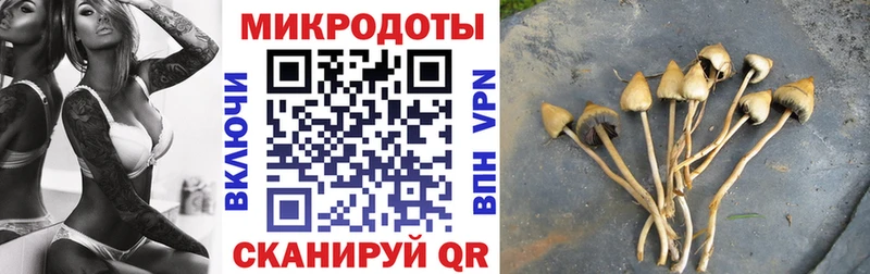 Псилоцибиновые грибы Psilocybine cubensis  гидра ТОР  Семилуки  наркота 