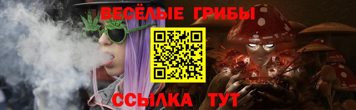 Псилоцибиновые грибы прущие грибы Семилуки